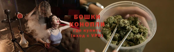 твердый Ладушкин