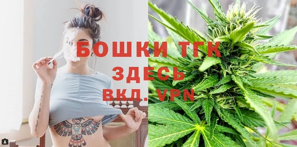 твердый Ладушкин