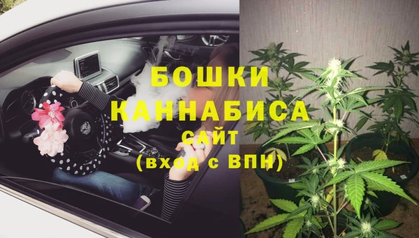 бутират Лагань