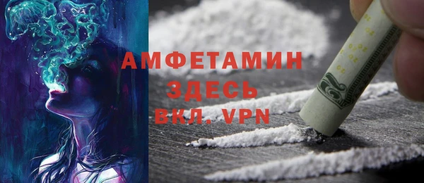 твердый Ладушкин