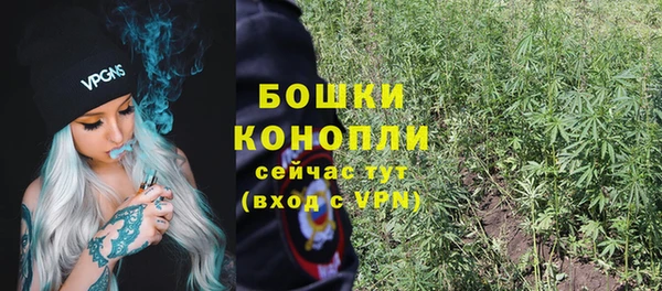 бутират Лагань