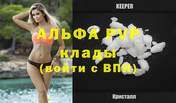 твердый Ладушкин