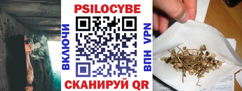 Псилоцибиновые грибы Psilocybine cubensis  Купить  Ардон 